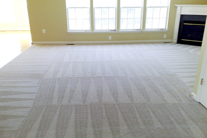 Carpet Cleaning in Macomb Michigan